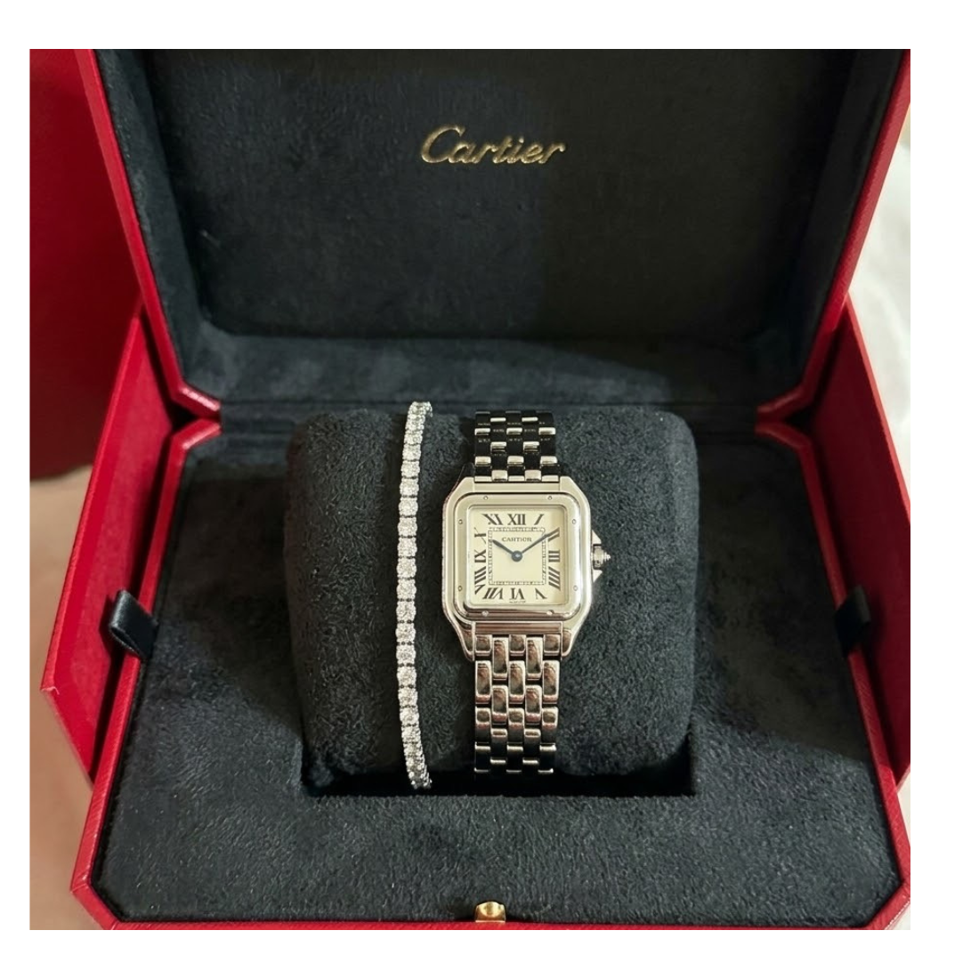 Cartier panthere silver + Bracelet