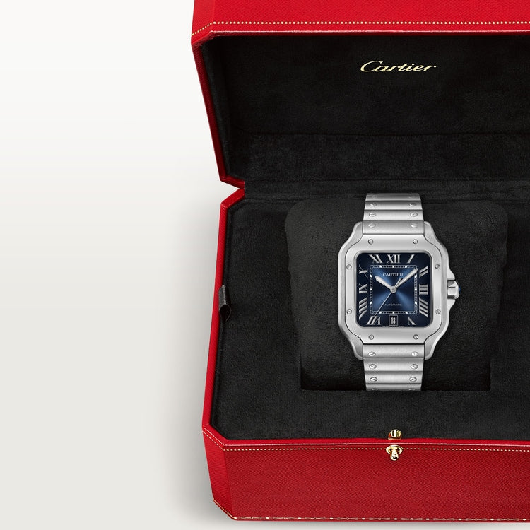 Cartier santos -bleu