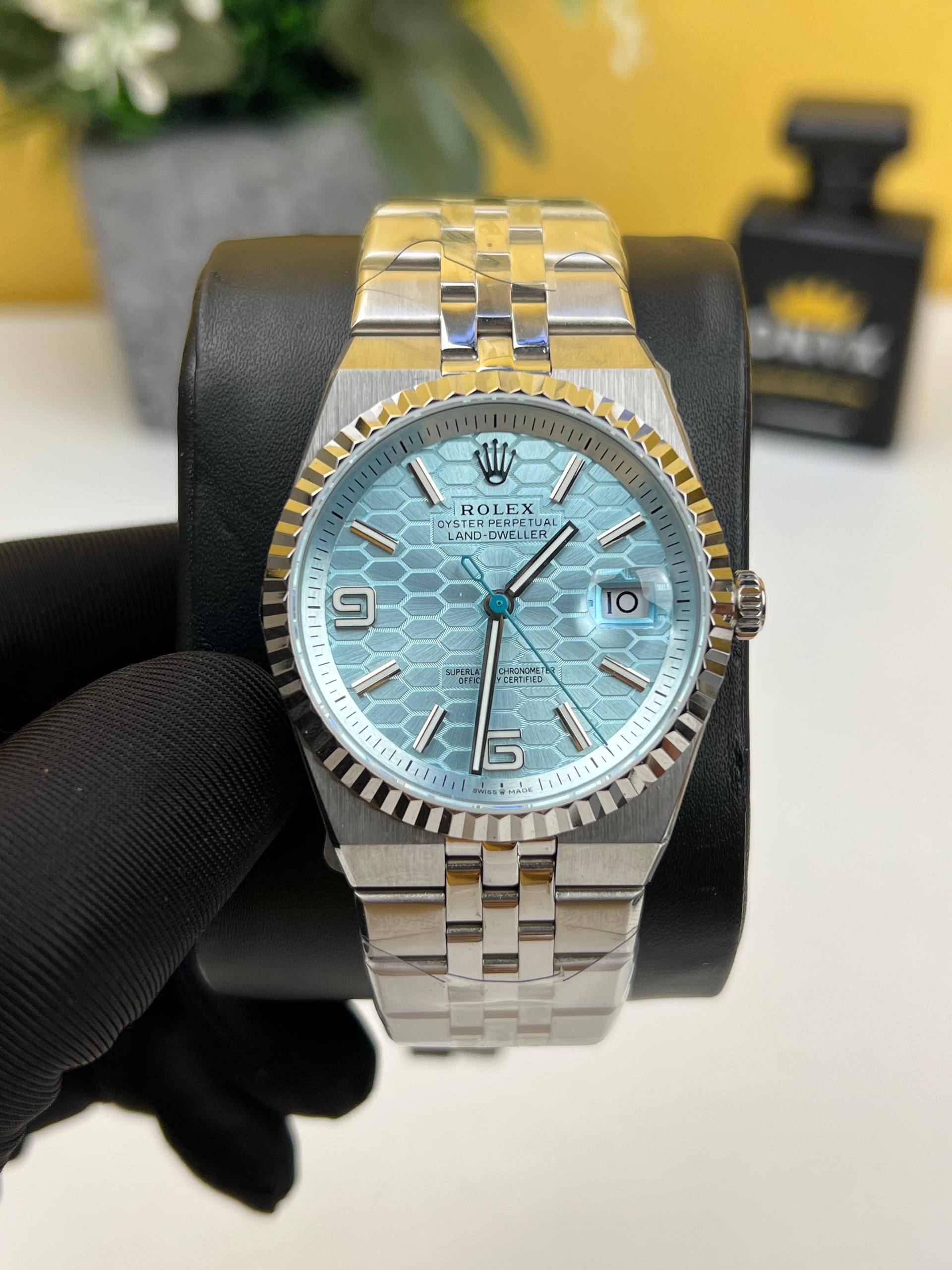Rolex Land-Dweller Platinum